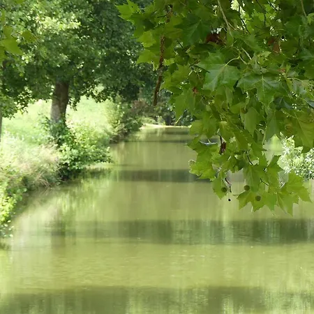 Les Hirondelles Ferienhaus Fourcès