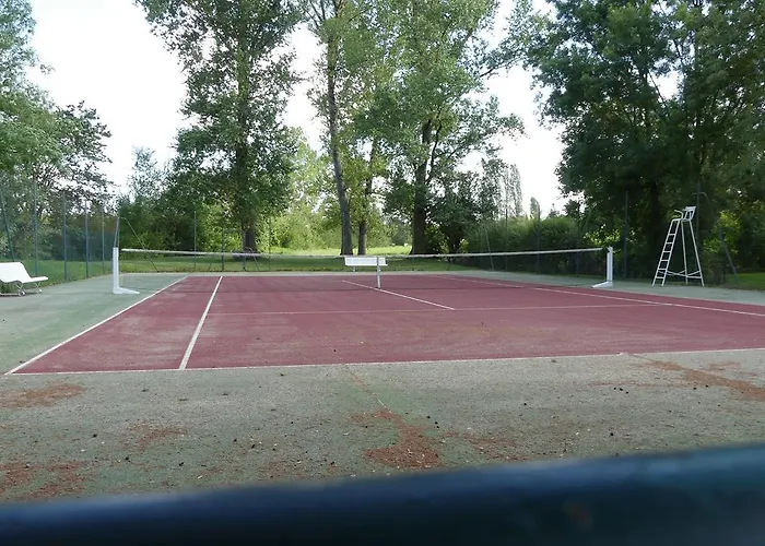 Les Hirondelles فورسيس